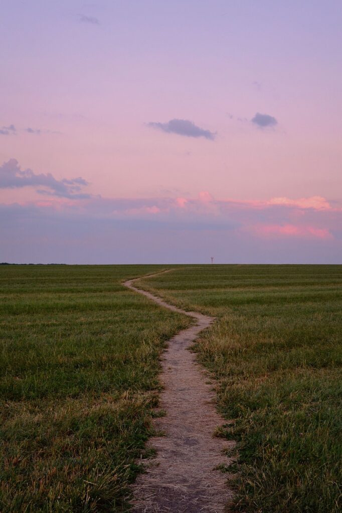 sunset, trail, field-7268082.jpg